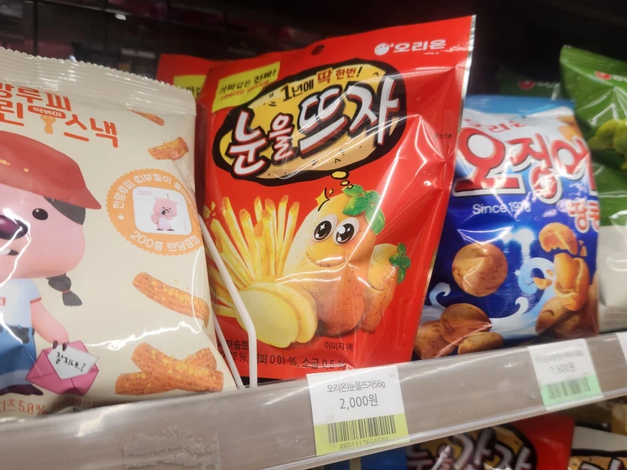 눈을 뜬 감자_1.webp