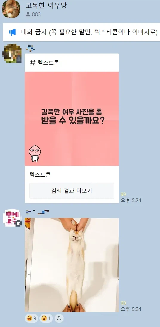 길쭉한 여우 사진 좀 주세요_1.webp