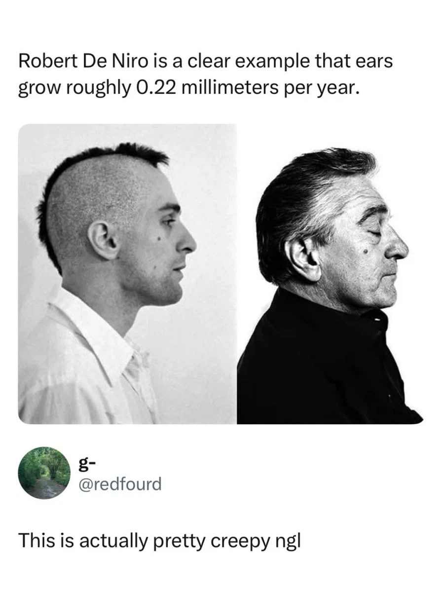 귀가 자란다는 증거.jpg_1.webp