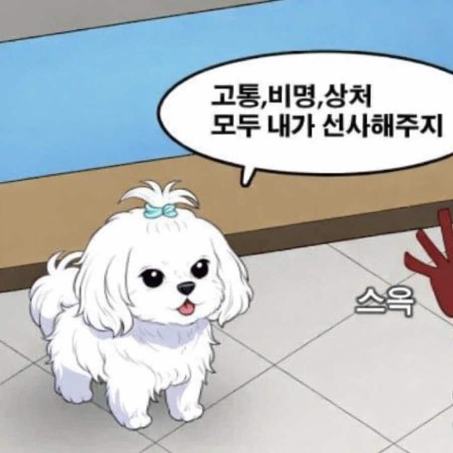 당신에게 고통,비명,상처 모두 선사해주는 말티즈_1.webp