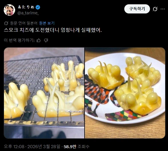 엄청나게 실패해버린 스모크 치즈.twit_1.webp