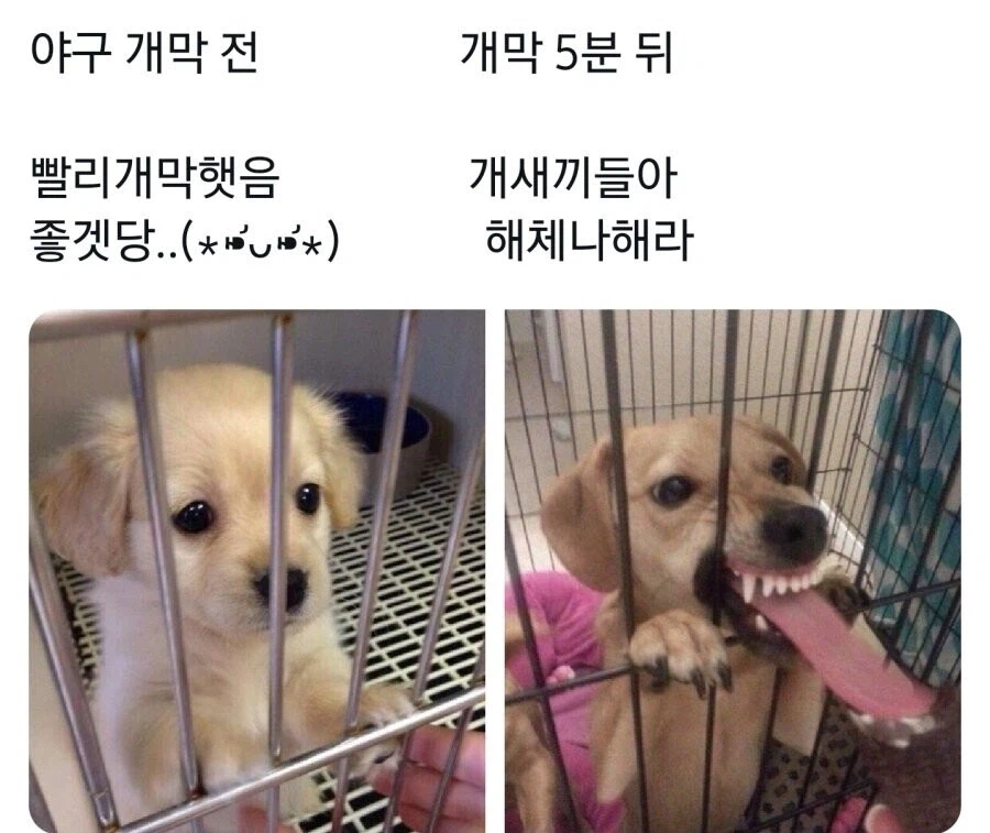 야구 안보는 사람들이 시즌 시작하면 재밌는 이유_1.webp