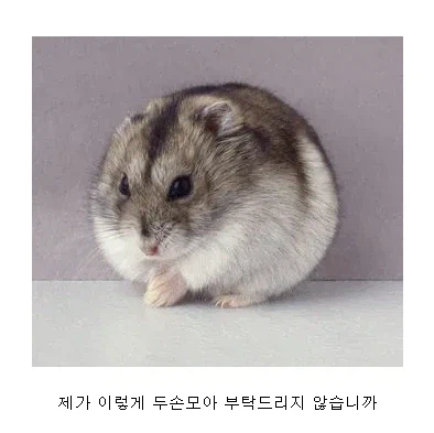 헤헤 나으리 추천 하나만 주십쇼_1.webp