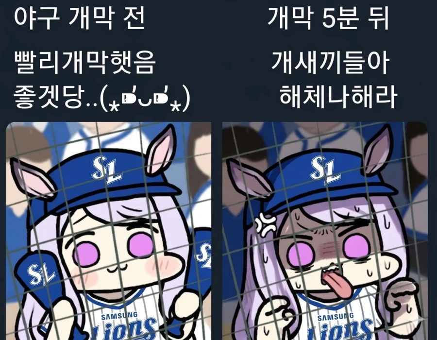 야구팬들 경기볼 때마다 정신병 걸릴 거 같다면서_4.webp