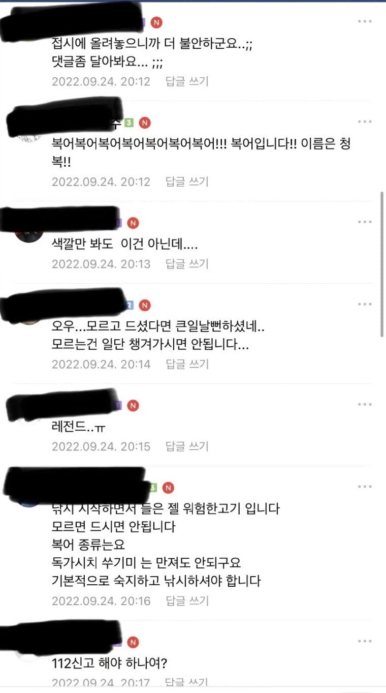 제주도에서 물고기 잡은 사람_3.webp