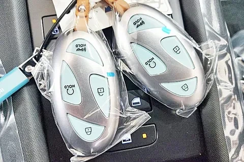 현대차 극성팬들도 절대로 쉴드 못 치는 현대차 흑역사_1.webp