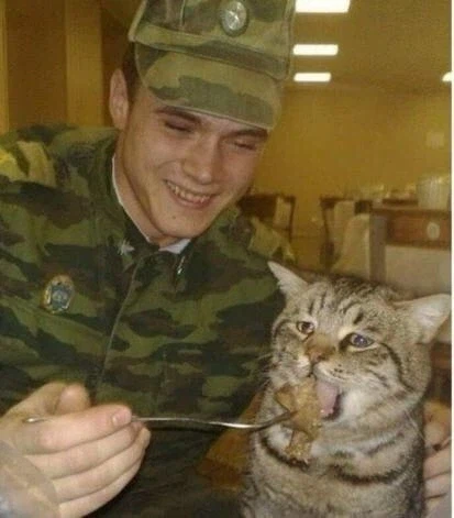 고양이 밥먹이는 중세그림._7.webp