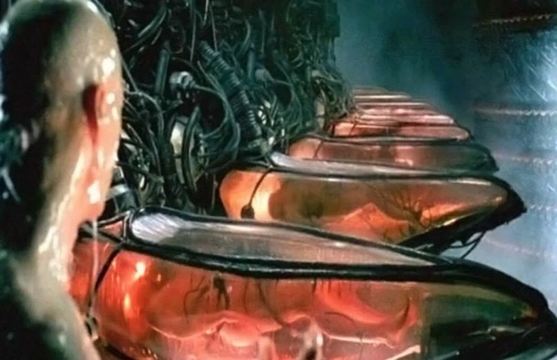 과도한 복지 퍼주기 포퓰리즘 정책의 결과를 보여준 국가_2.webp