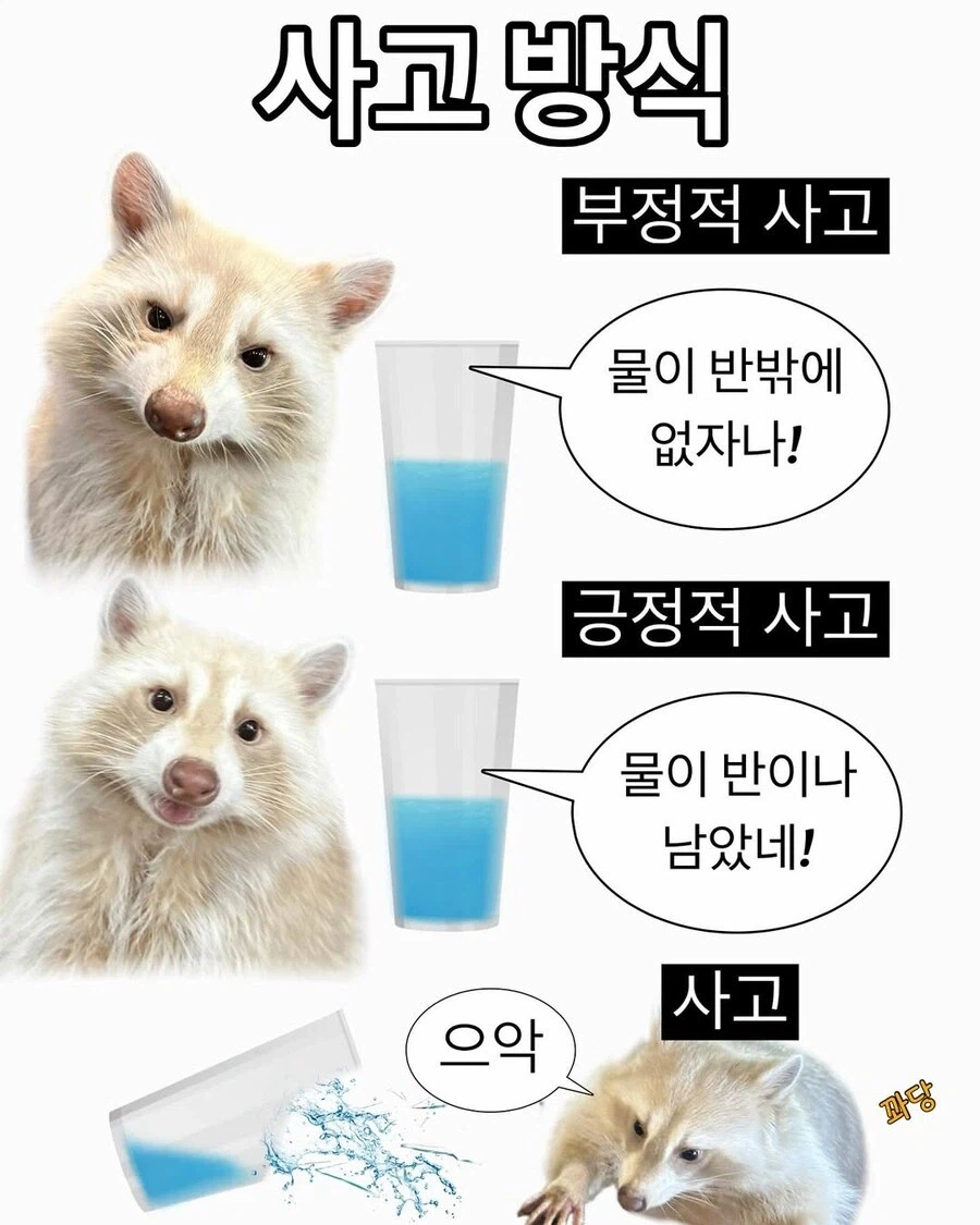 세상엔 세가지 사고방식이 있다_1.webp