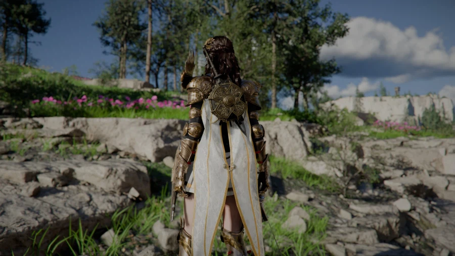 붉은사막) 의외로 모드가 아닌 것_2.webp