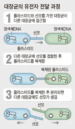 고작 동물 성교 가지고 되겠느냐_3.webp