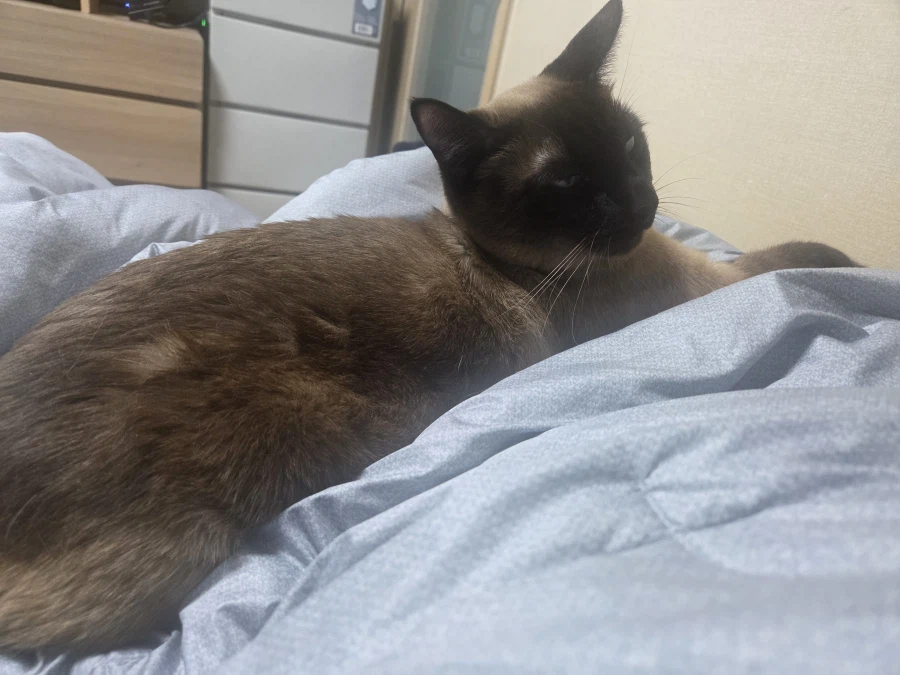 다리에 쥐가 나서 죽을 것 같아요. 살려주세요 ㅠㅠ_1.webp