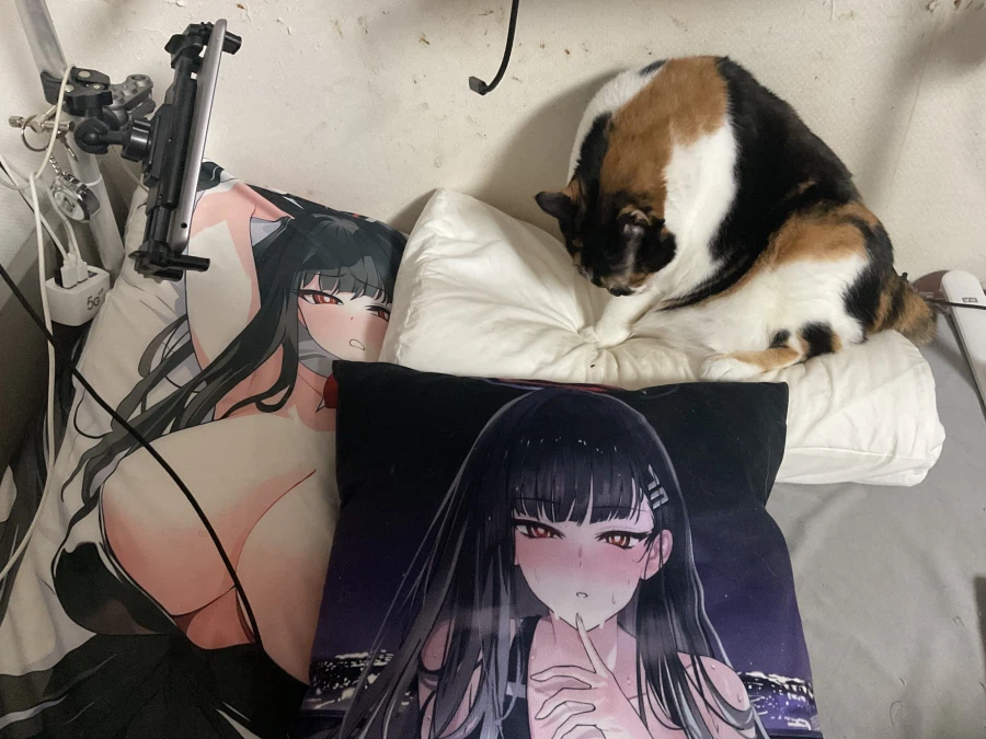 진짜 개양아치네 이거_1.webp