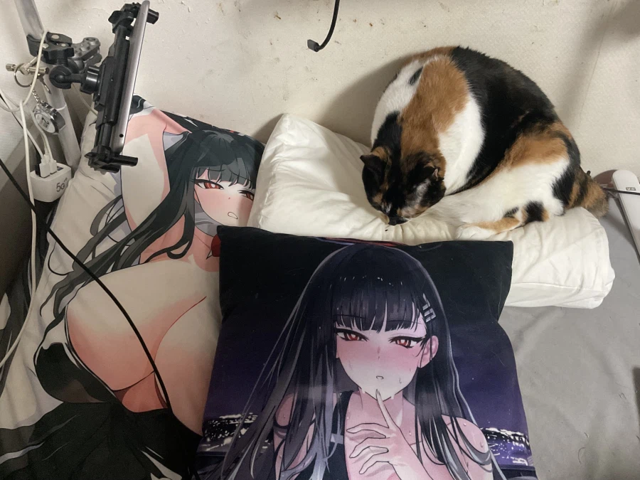 진짜 개양아치네 이거_2.webp