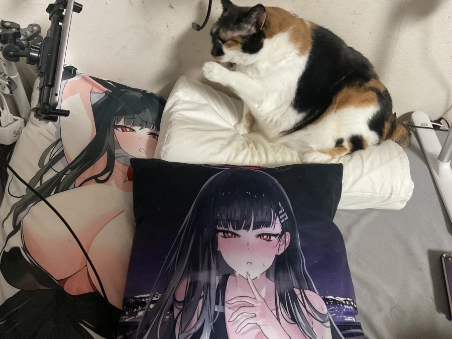 진짜 개양아치네 이거_3.webp