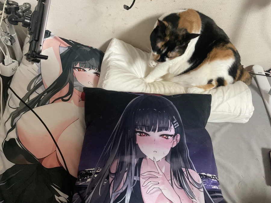 진짜 개양아치네 이거_4.webp