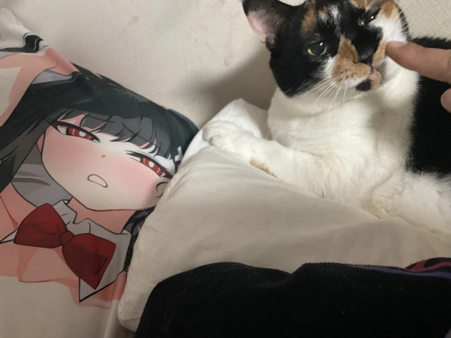 진짜 개양아치네 이거_9.webp