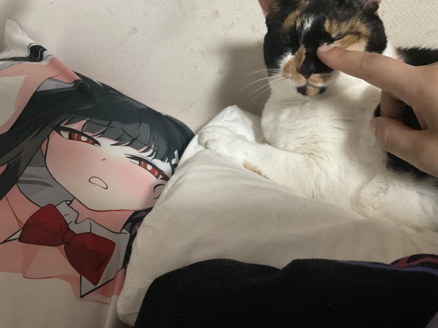 진짜 개양아치네 이거_10.webp