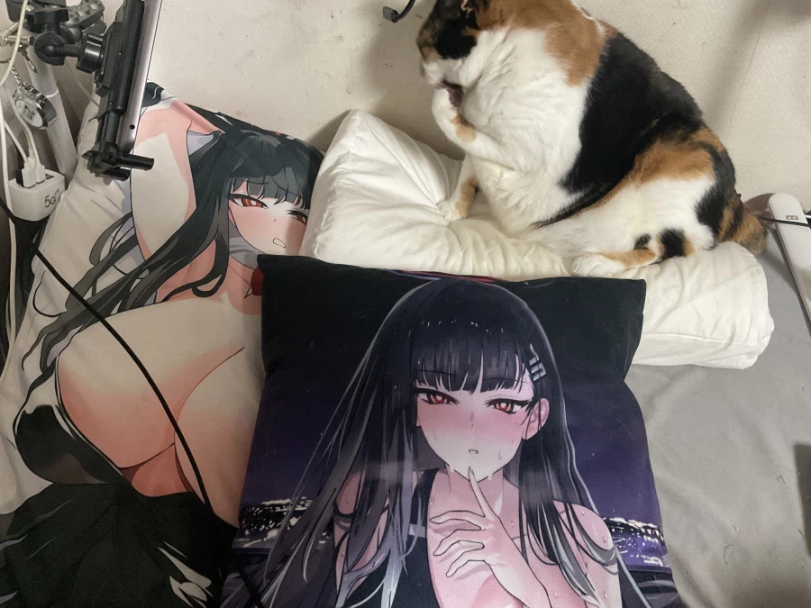 고양이) 베개 뺏김_1.webp