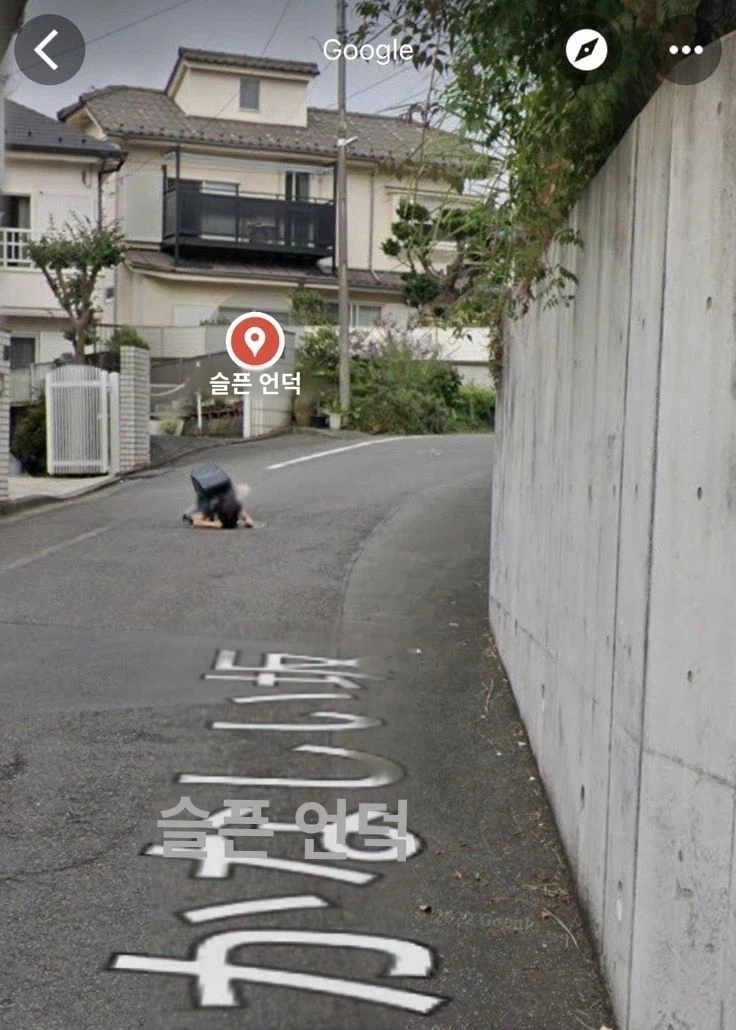 구글 위성 지도 특징_2.webp