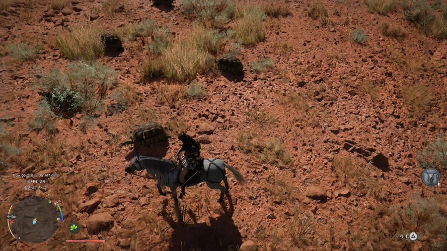 붉은사막] 초심 잃은 펄어비스..._3.webp