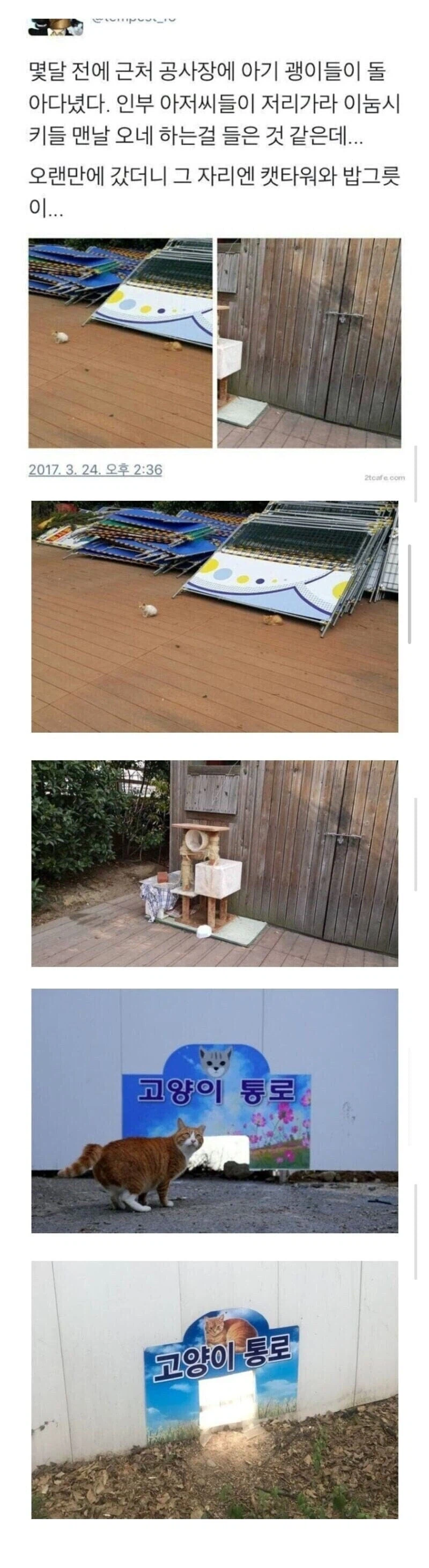 공사장에 고양이가 돌아다녀 화난 아재들_1.webp