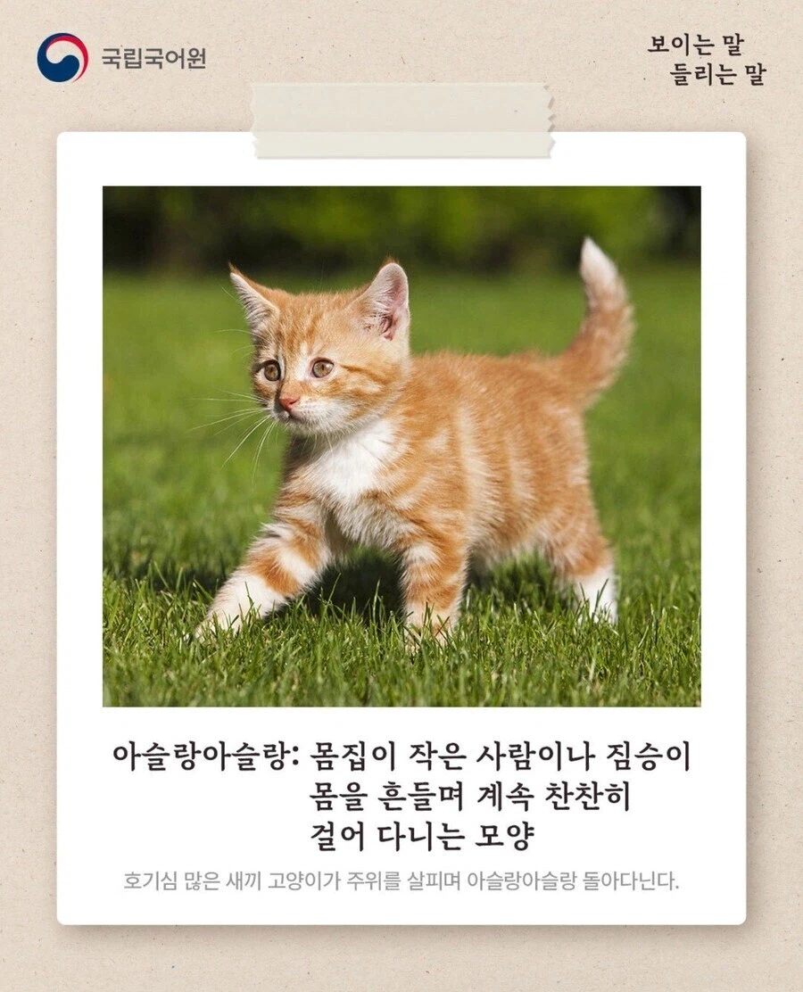 의외로 귀엽다는 단어.jpg_1.webp
