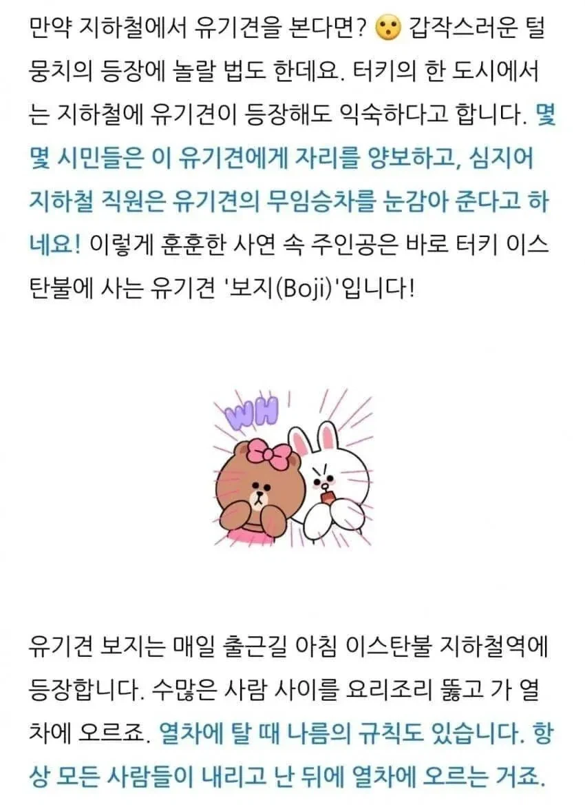 지하철 무료 보지_1.webp