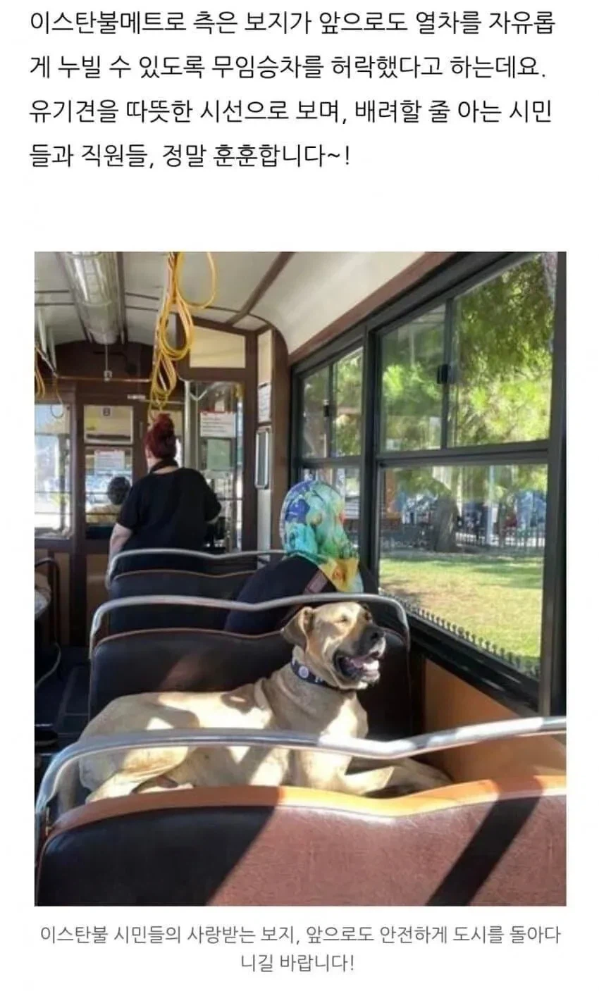 지하철 무료 보지_2.webp