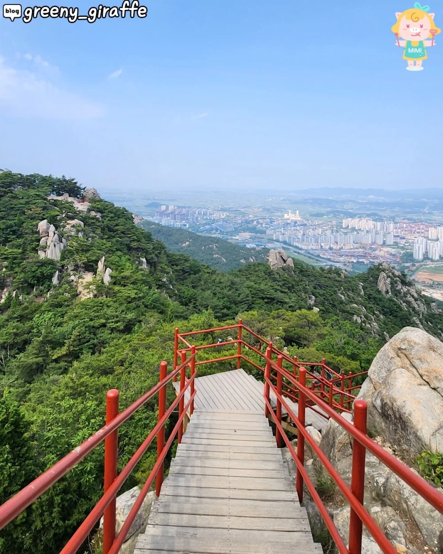 홍성에 있다는 고양이 산_6.webp