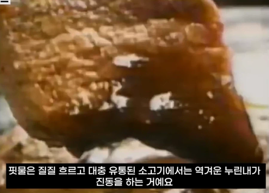 맛없는 고기에 쓸수록 엄청 맛있어진다는 마법의 소스_6.webp