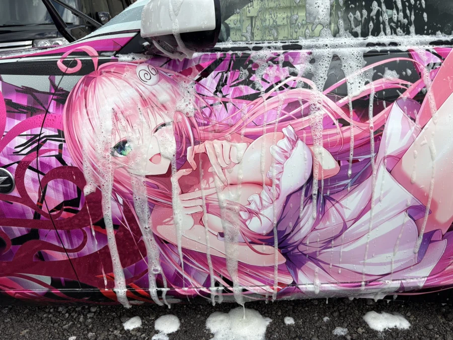 세차하는데 뭔가 뭔가임_2.webp