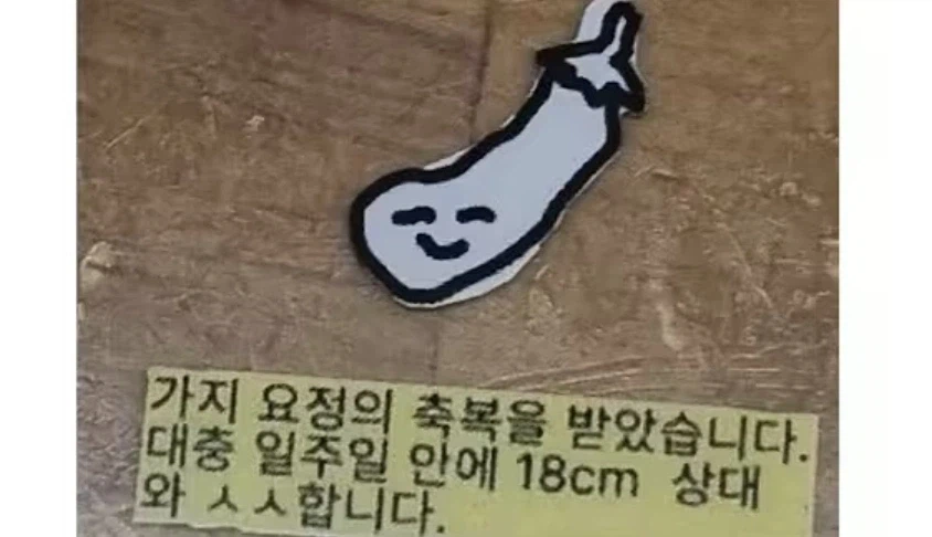 당신은 가지 요정의 축복을 받았습니다_1.webp