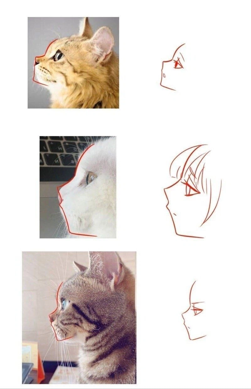 2d 그림체의의 비밀_1.webp