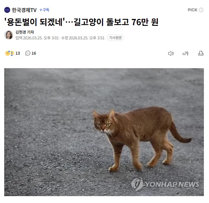 용돈벌이 되겠네, 길고양이 돌보면 76만원_1.webp