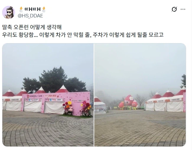 논산 딸기 축제 오픈런 후기.jpg_1.webp