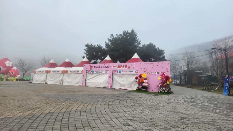 논산 딸기 축제 오픈런 후기.jpg_2.webp