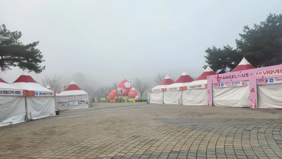 논산 딸기 축제 오픈런 후기.jpg_3.webp