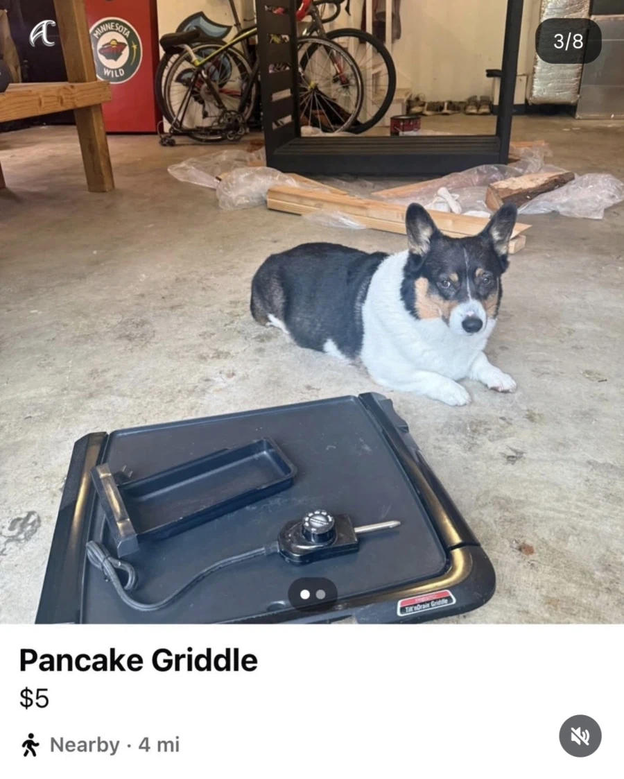 강아지 키우는 사람이 중고판매 사진 올릴때 특징_2.webp