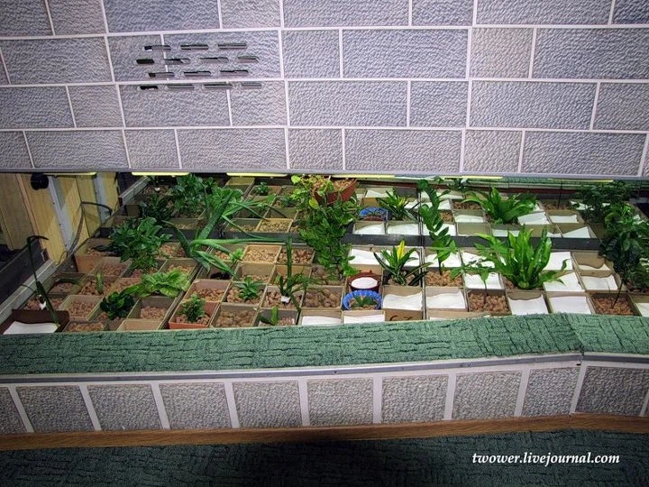 핵 잠수함이라 누릴수 있는 사치_4.webp