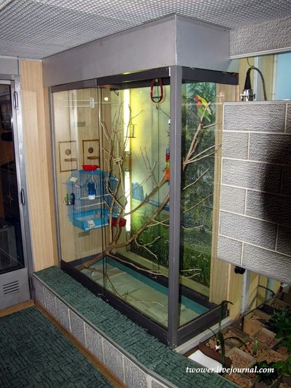 핵 잠수함이라 누릴수 있는 사치_5.webp