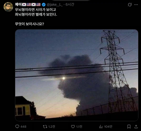 우뇌형이면 사자가, 좌뇌형이면 벌레가 보인다는 사진_1.webp