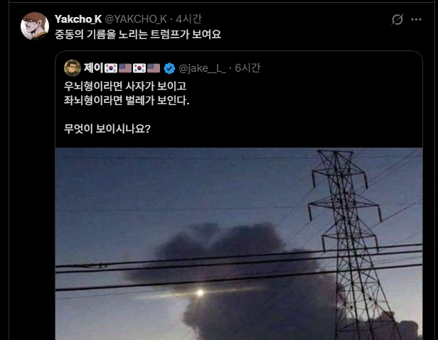 우뇌형이면 사자가, 좌뇌형이면 벌레가 보인다는 사진_2.webp