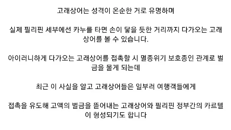 고래상어가 겉으로는 온순하지만 조심해야 하는 이유_2.webp