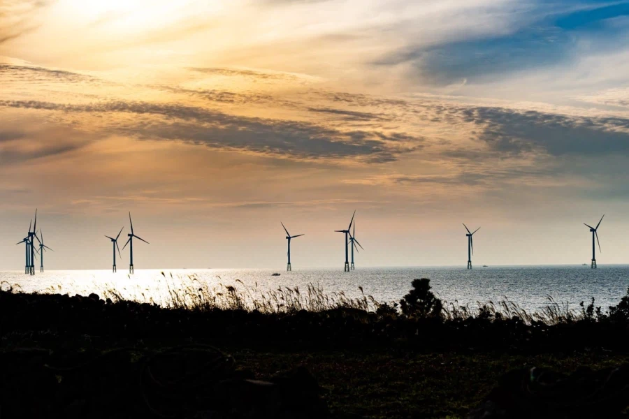 튀김집 아저씨들의 제주도 여행 사진 정리.._2.webp