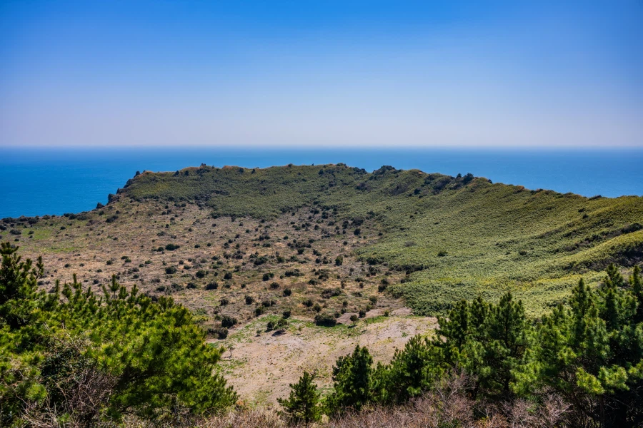 튀김집 아저씨들의 제주도 여행 사진 정리.._11.webp