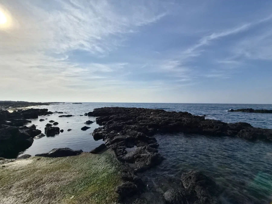 튀김집 아저씨들의 제주도 여행 사진 정리.._17.webp