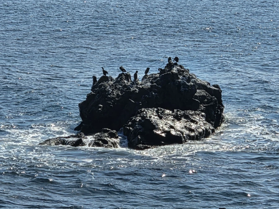 튀김집 아저씨들의 제주도 여행 사진 정리.._20.webp