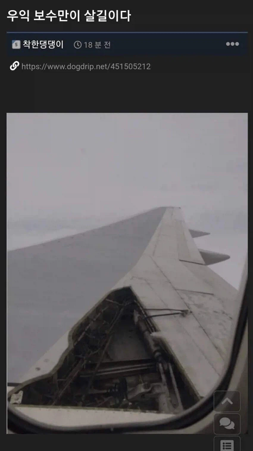 우익 보수만이 살길이다_1.webp