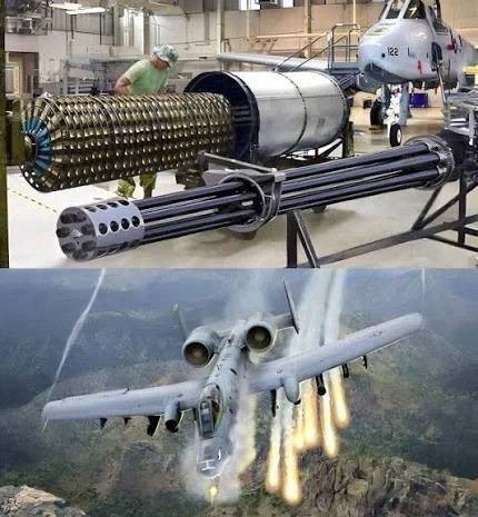 맷돼지가 커다란 잡지를 보면?.jpg_1.webp